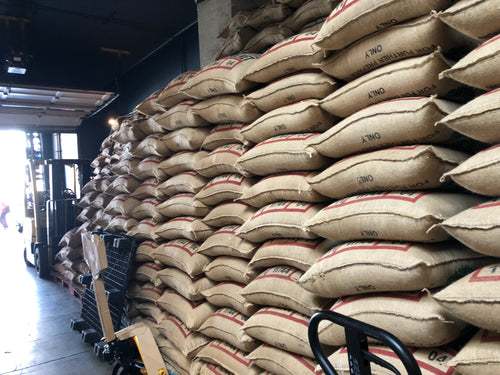 Family Plan (2 Bags)